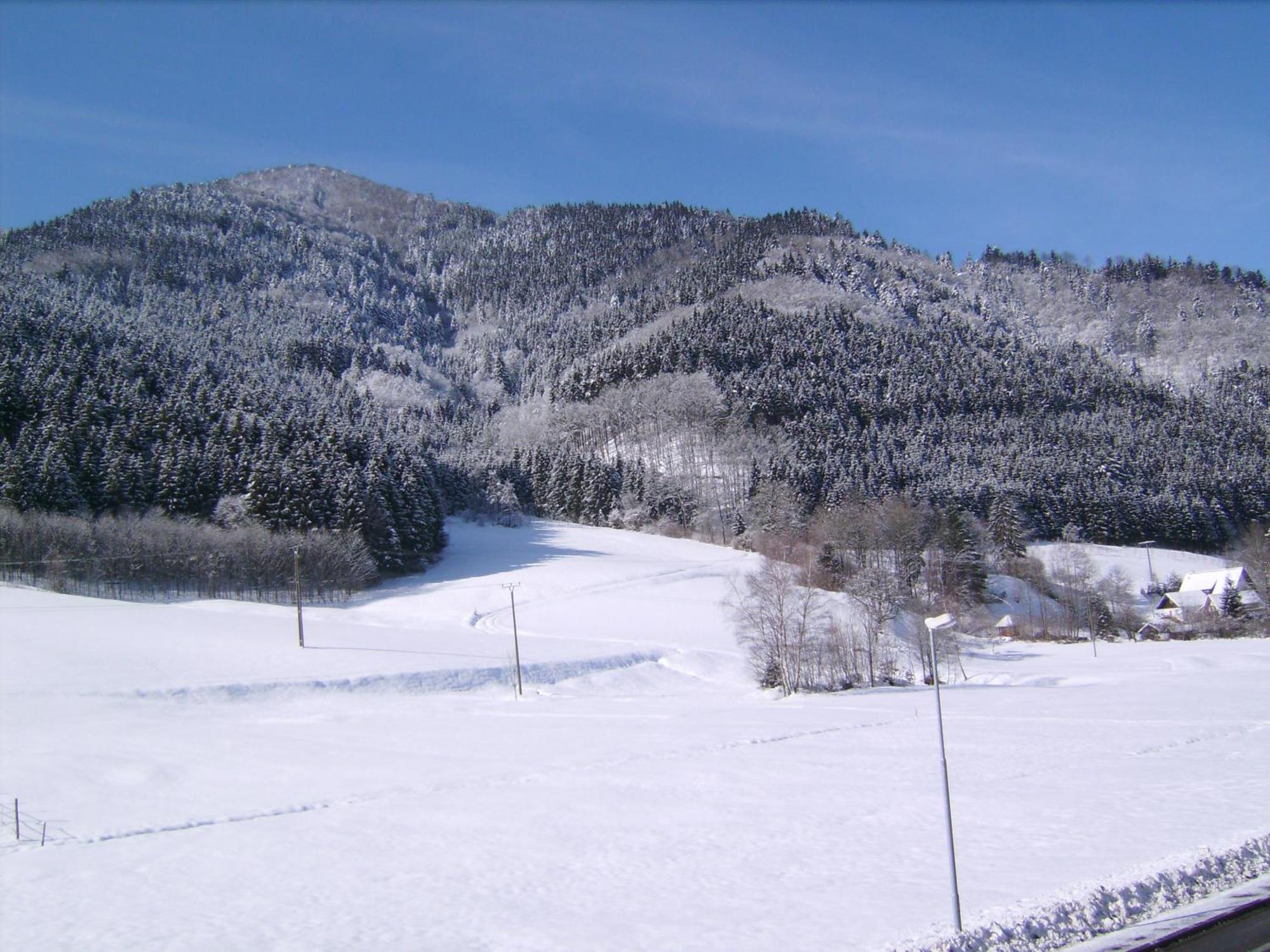 Gasthaus Zur Erle Simonswald Extérieur photo